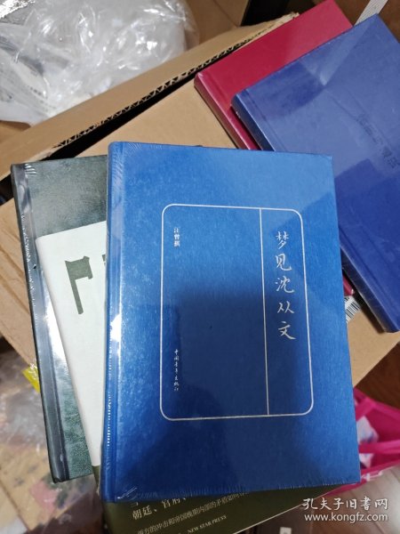 梦见沈从文