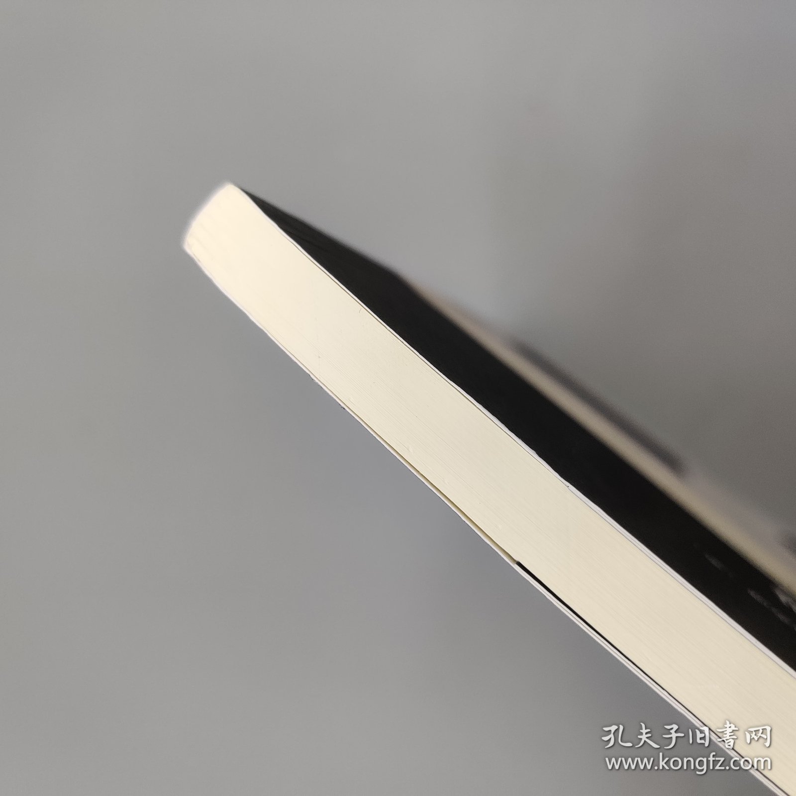 揣测与媒介：媒介体现象学