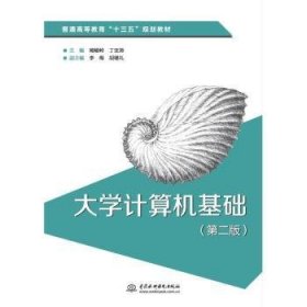 大学计算机基础（第二版）（普通高等教育“十三五”规划教材）