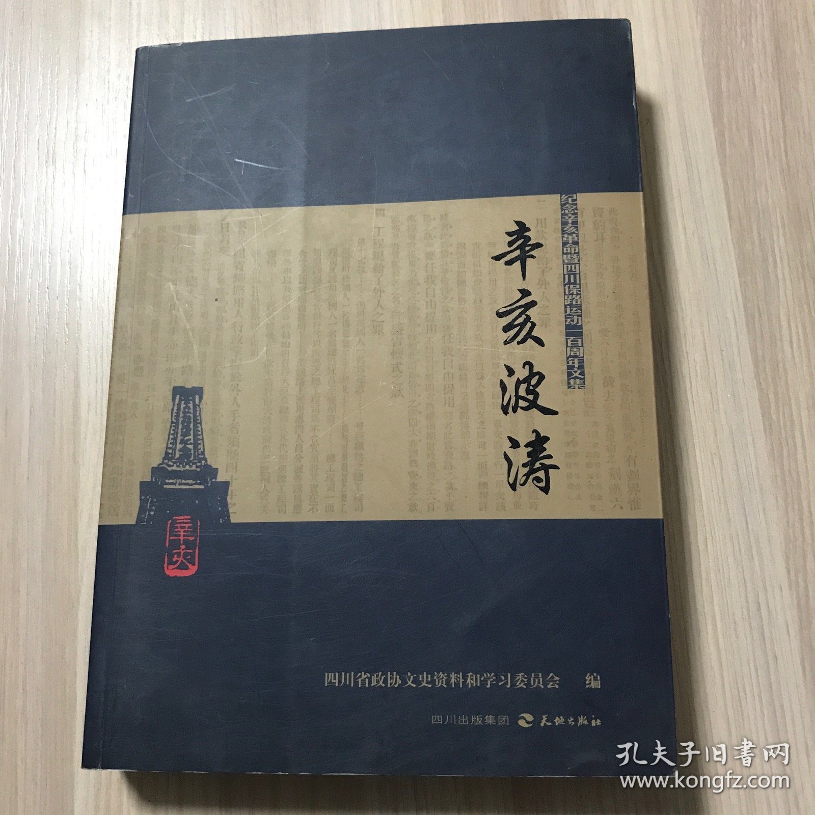 辛亥波涛:纪念辛亥革命暨四川保路运动一百周年文集