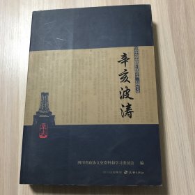 辛亥波涛:纪念辛亥革命暨四川保路运动一百周年文集