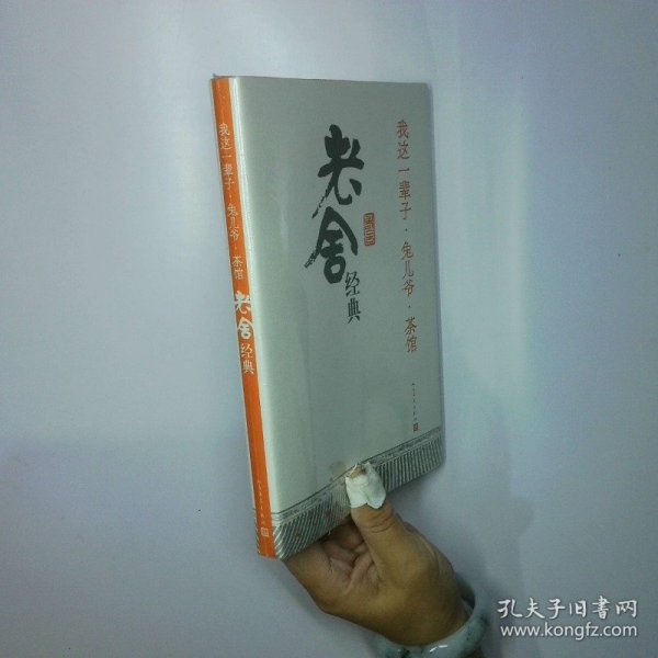 我这一辈子·兔儿爷·茶馆：老舍经典