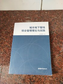 城市地下管线综合管理理论与实践