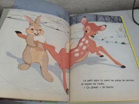 BAMBI grandit