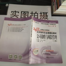 东奥会计在线 轻松过关1 2017年注册会计师考试教材辅导 应试指导及全真模拟测试：公司战略与风