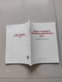 中国矿产资源报告2020