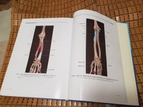 肌肉骨骼磁共振成像诊断.修订版