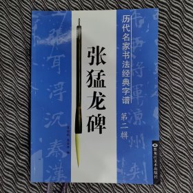 历代名家书法经典字谱：张猛龙碑