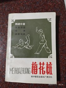 梅花桩，韩建中，科学普及出版社广州分社，1987年，85品4