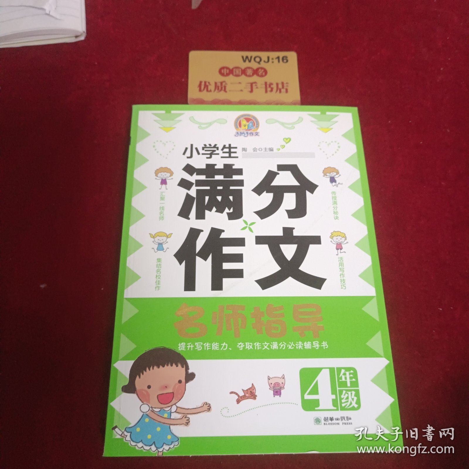 小学生4年级满分作文名师指导