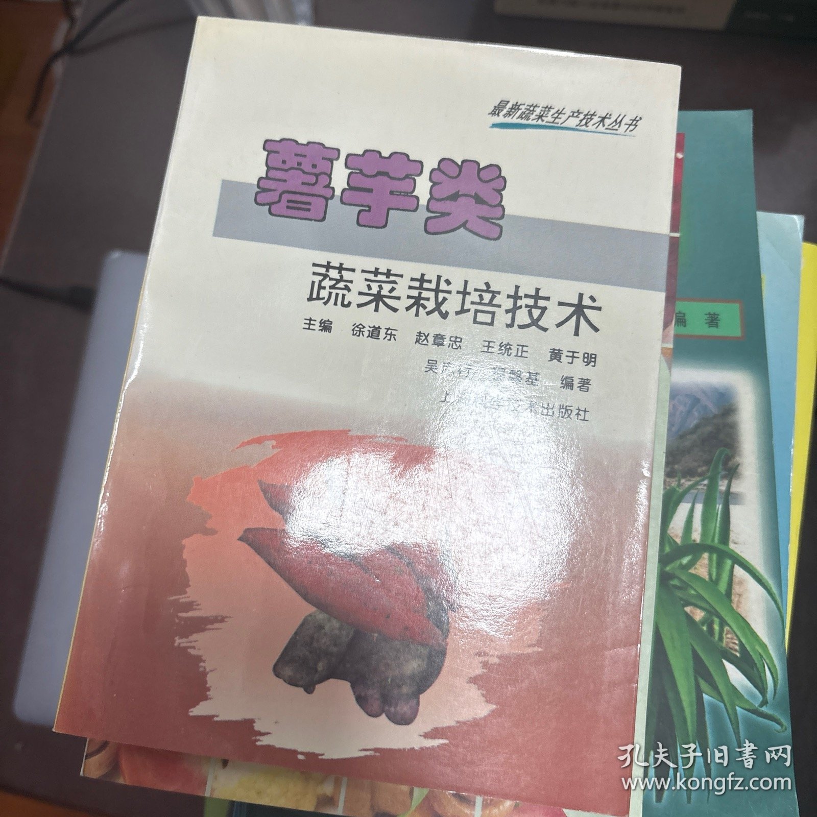 薯芋类蔬菜栽培技术