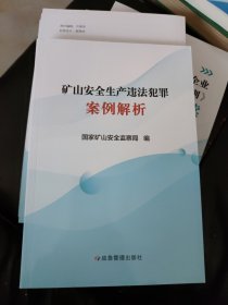 矿山安全生产违法犯罪案例解析