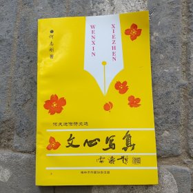 文心写真