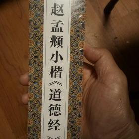 墨点字帖近距离临摹字卡赵孟頫小楷道德经初学者小楷临摹视频教程毛笔字帖