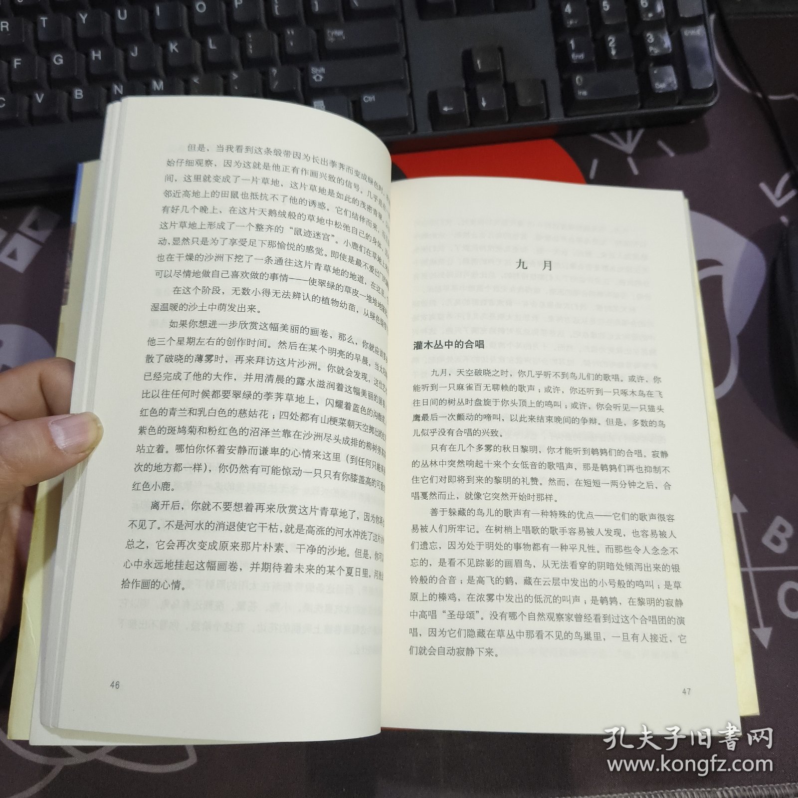 一力文库：沙郡年记（中文版+英文版）原塑封