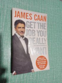 【外文原版】JAMES CAAN GET THE JOB YOU REALLY WANT