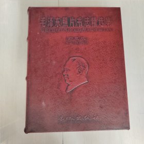 毛泽东照片书法精选集（珍藏版）