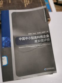 中国中小型高科技企业成长性评价