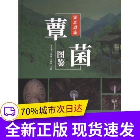湖北恩施覃菌圖鑒