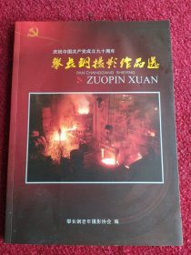 攀长钢摄影作品选