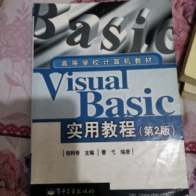 Visual Basic实用教程(第2版)