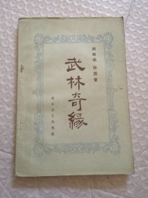 武林奇缘