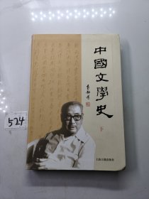 中国文学史（下册）