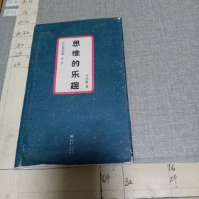 思维的乐趣