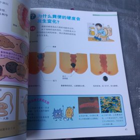 儿童百科图鉴：人体的奥秘