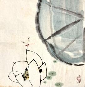 国画花鸟蜻蜓荷花小品149
