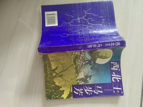 西北王马步芳
