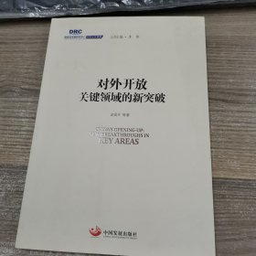 对外开放关键领域的新突破