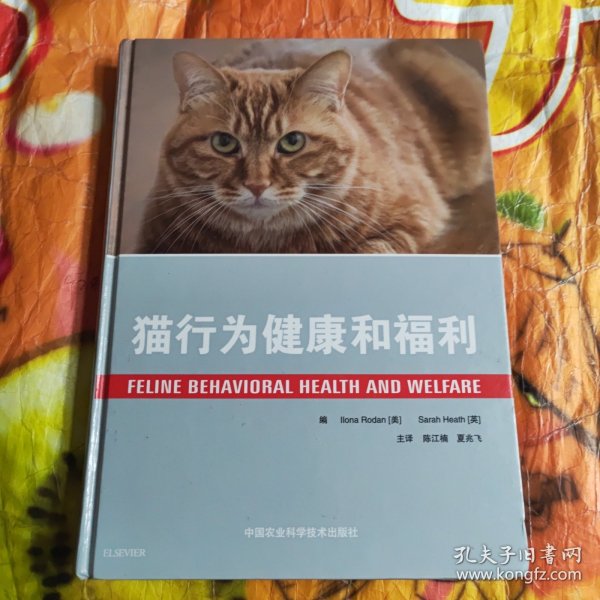 猫行为健康和福利