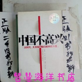 中国不高兴：大时代大目标及我们的内忧外患