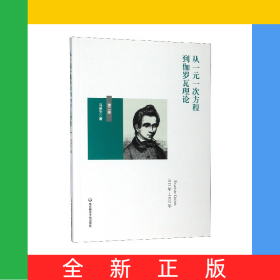 从一元一次方程到伽罗瓦理论(第2版)