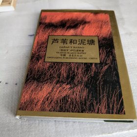 芦苇和泥塘