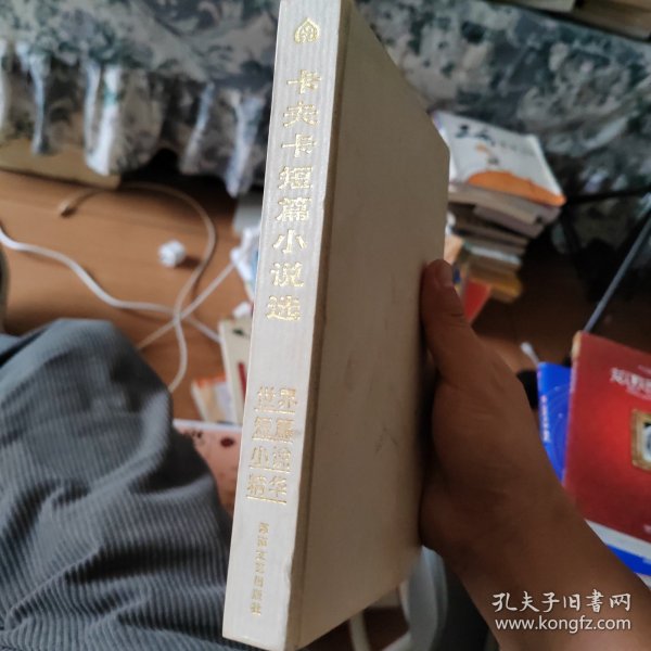 卡夫卡短篇小说选：世界短篇小说精华