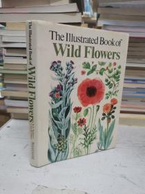 The Iiiustrated Book of Wild flowers