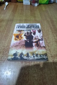 浴血孟良崮-国共生死大决战