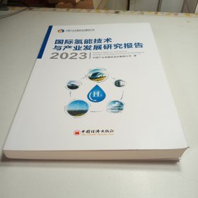 国际氢能技术与产业发展研究报告2023