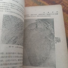 医士学习丛书病理学