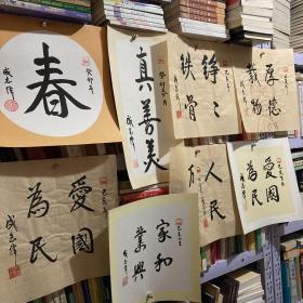 历任中共中央宣传部文艺局副局长，中共浙江省绍兴市委副书记，中国记协国内部副主任，《作品与争鸣》总编辑，《桥》总编辑，副研究员。中国群众文化学会副会长，全国集邮联合会常务理事，中国旅游文化学会理事。