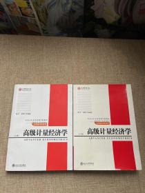 高级计量经济学（上下）/北京大学光华管理学院教材