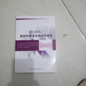 潮头浪尖：新时代资本市场运作指南