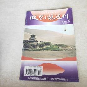 微型小说选刊 2000 22