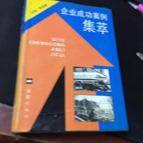 企業(yè)成功案例集萃(精裝)