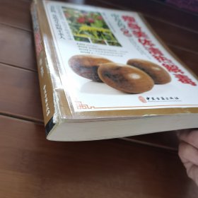 瘦身美体清热解毒：中草药妙用