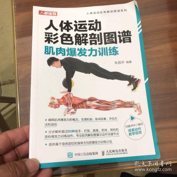 人体运动彩色解剖图谱 肌肉爆发力训练