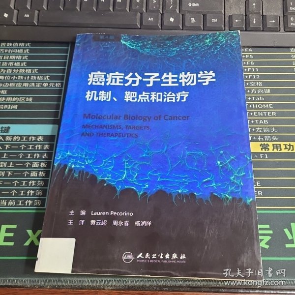 癌症分子生物学：机制、靶点和治疗(翻译版）