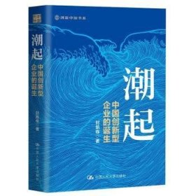 潮起：中国创新型企业的诞生